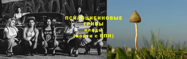 2c-b Армянск