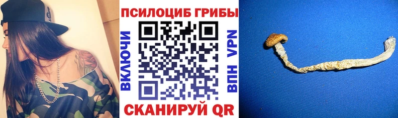 сколько стоит  Рославль  Галлюциногенные грибы мицелий 